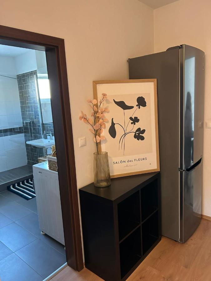 Apartman "Dunaj" Private Parking - Klimatizacia Samorin Exterior foto